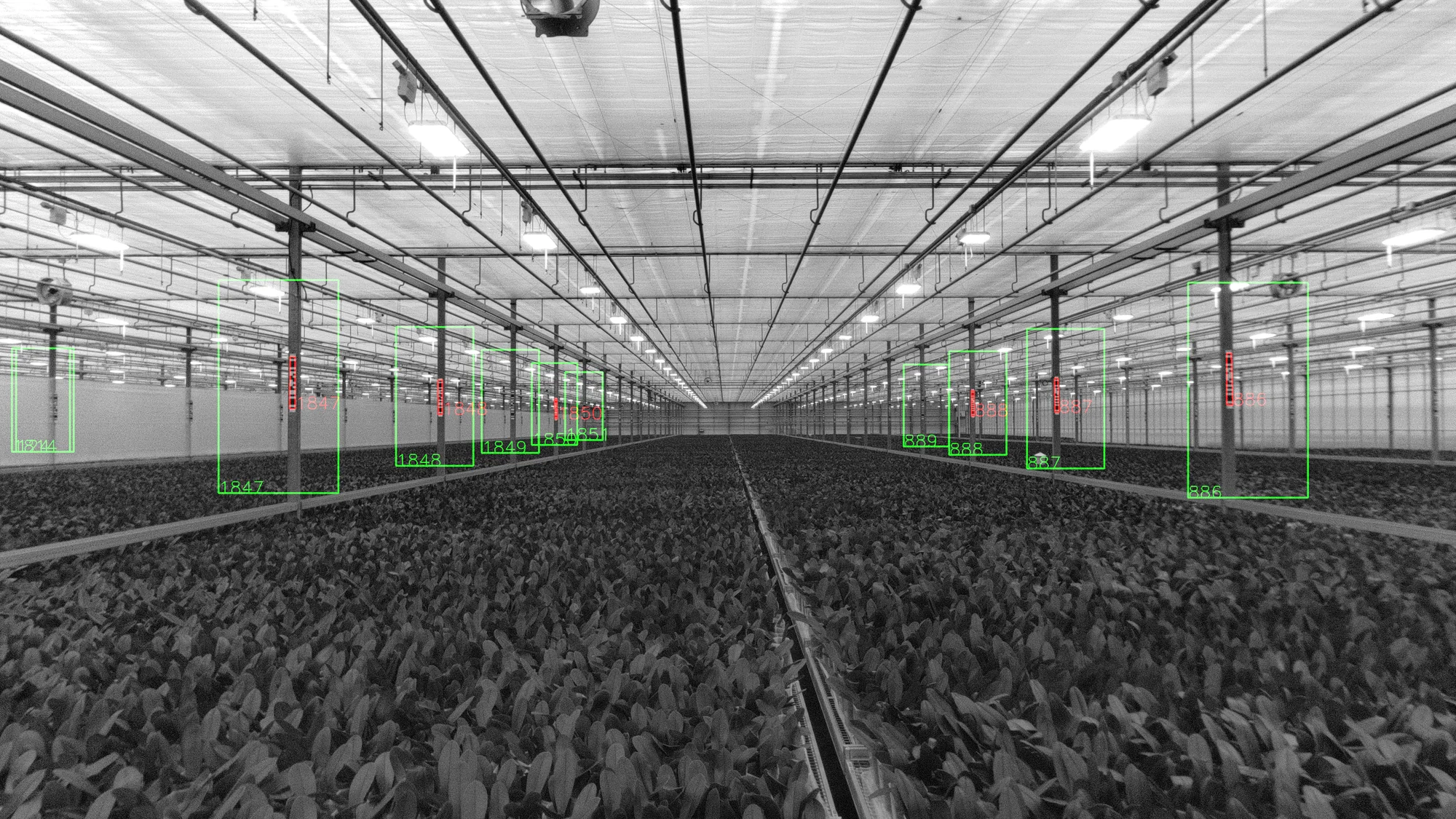 Onboard camera image with multiple detected Argus markers and their identifiers