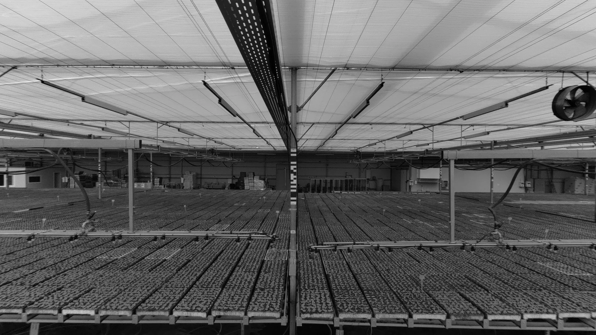Grayscale onboard camera view showing an Argus marker mounted on a greenhouse column