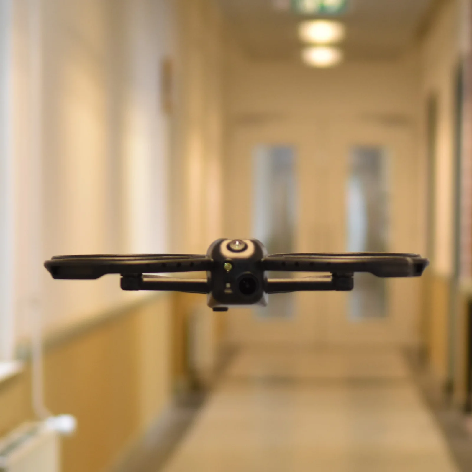Corax flying through an indoor corridor