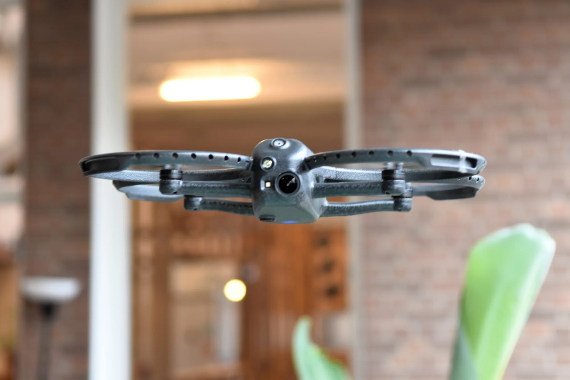 Detailed front view of Corax in flight
